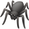 Spider on Facebook