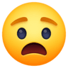 Anguished Face on Facebook