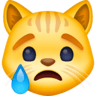 Crying Cat Face on Facebook