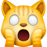 Weary Cat Face on Facebook