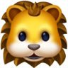 Lion Face on Facebook
