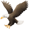 Eagle on Facebook