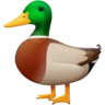 Duck on Facebook