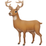 Deer on Facebook