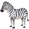 Zebra Face on Facebook