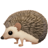 Hedgehog on Facebook