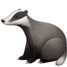 Badger on Facebook