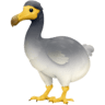 Dodo on Facebook
