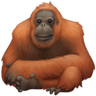 Orangutan on Facebook