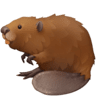 Beaver on Facebook