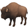 Bison on Facebook