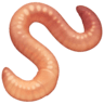 Worm on Facebook