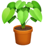Potted Plant on Facebook