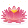 Lotus on Facebook