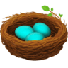 Nest With Eggs on Facebook