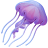 Jellyfish on Facebook