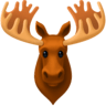 Moose on Facebook