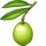 Olive on Facebook