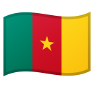 Cameroon Flag on Google
