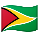 Guyana Flag on Google