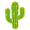 Cactus on Google