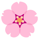 Cherry Blossom on Google