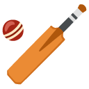 Cricket Bat And Ball on Google