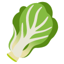 Leafy Green on Google