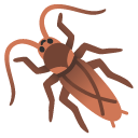 Cockroach on Google