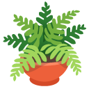 Potted Plant on Google