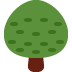 Deciduous Tree on Twitter / X