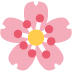 Cherry Blossom on Twitter / X