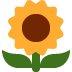 Sunflower on Twitter / X