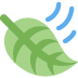 Leaf Fluttering In Wind on Twitter / X