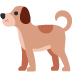 Dog on Twitter / X
