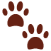 Paw Prints on Twitter / X