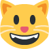 Smiling Cat Face With Open Mouth on Twitter / X