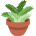 Potted Plant on Twitter / X