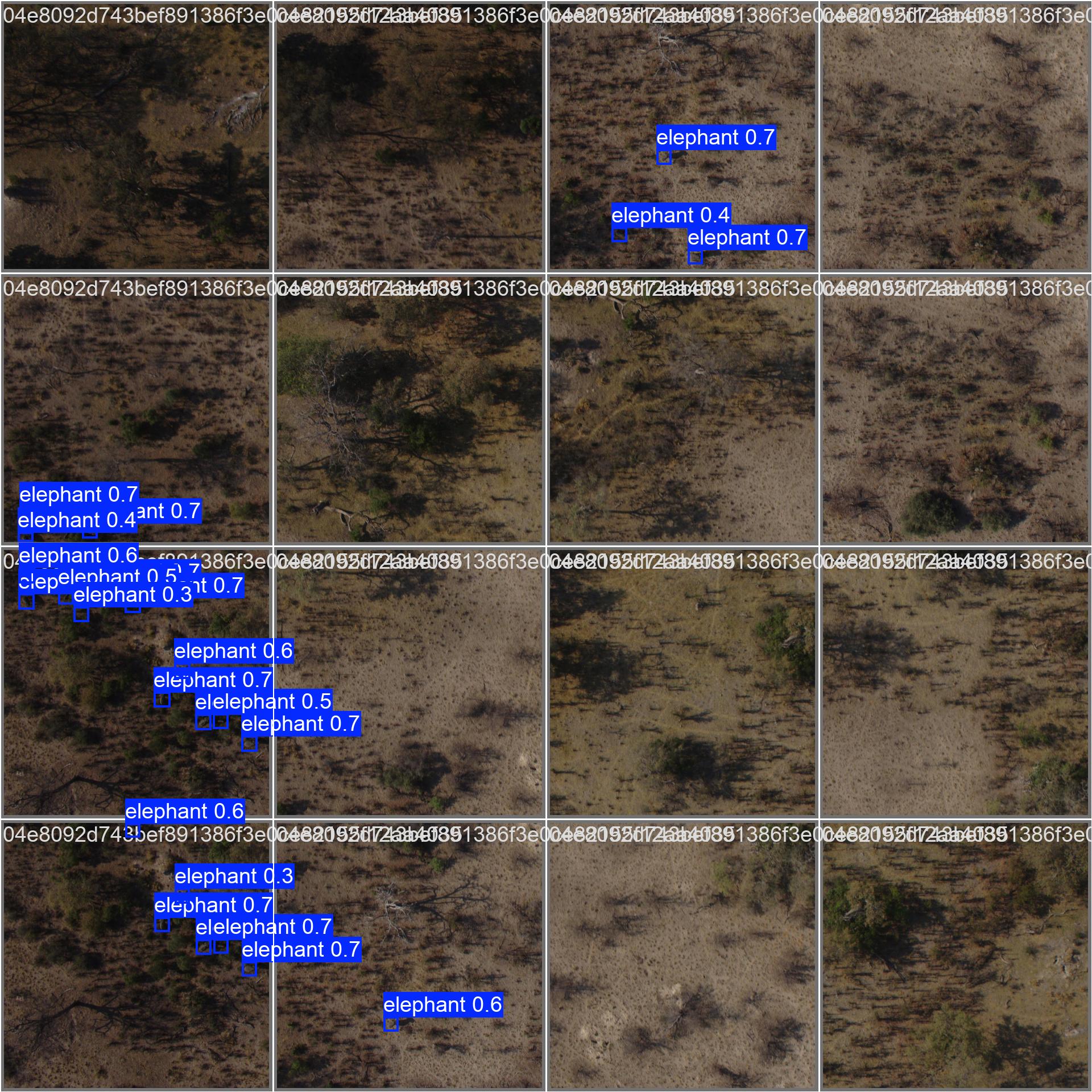 Validation predictions