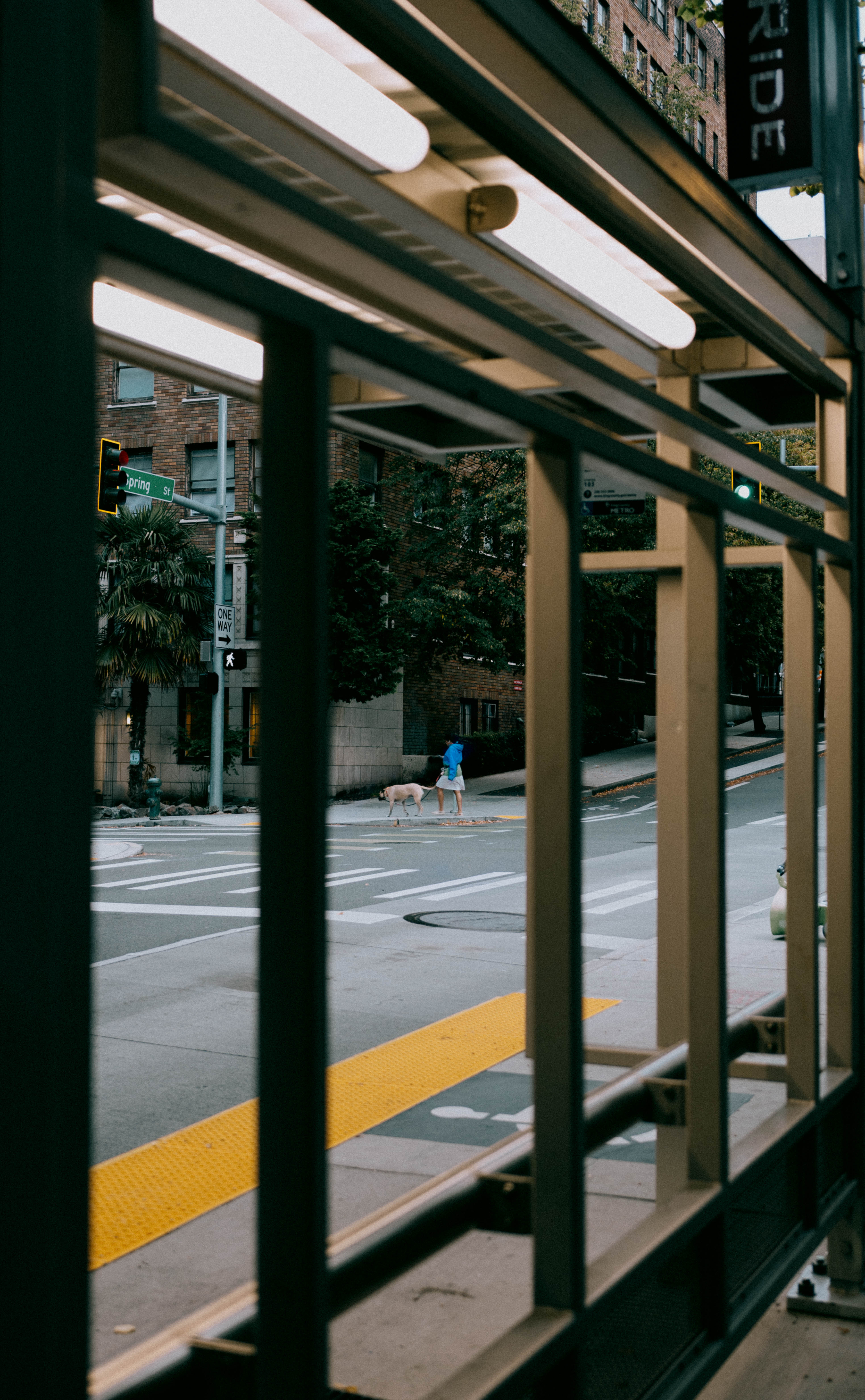 Seattle wandering-5