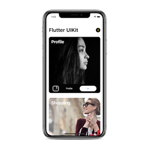 Flutter-UI-Kit — image 2