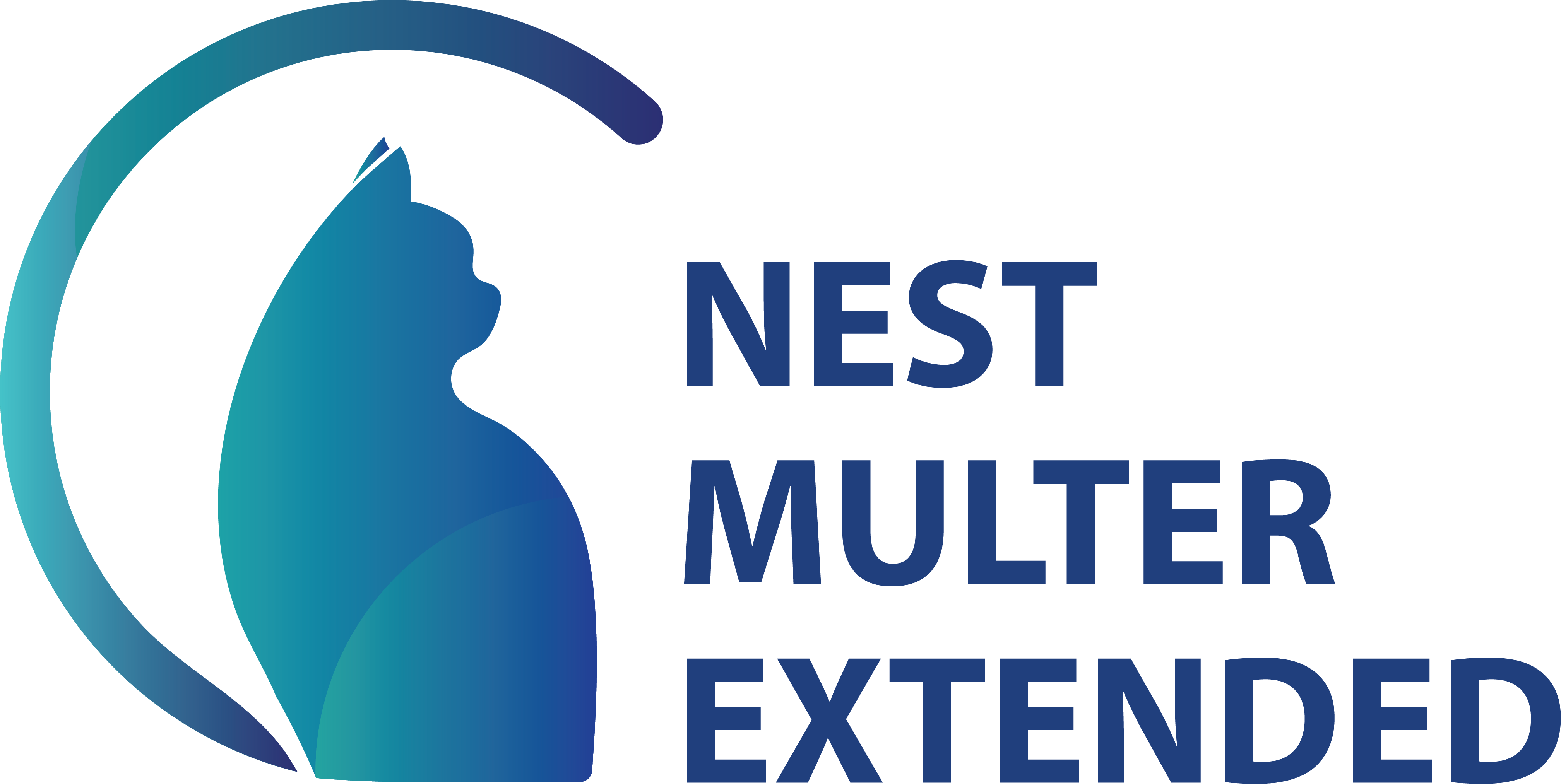 NestJS Multer Extended Logo