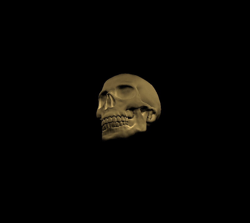 Demo GIF of rotating skull