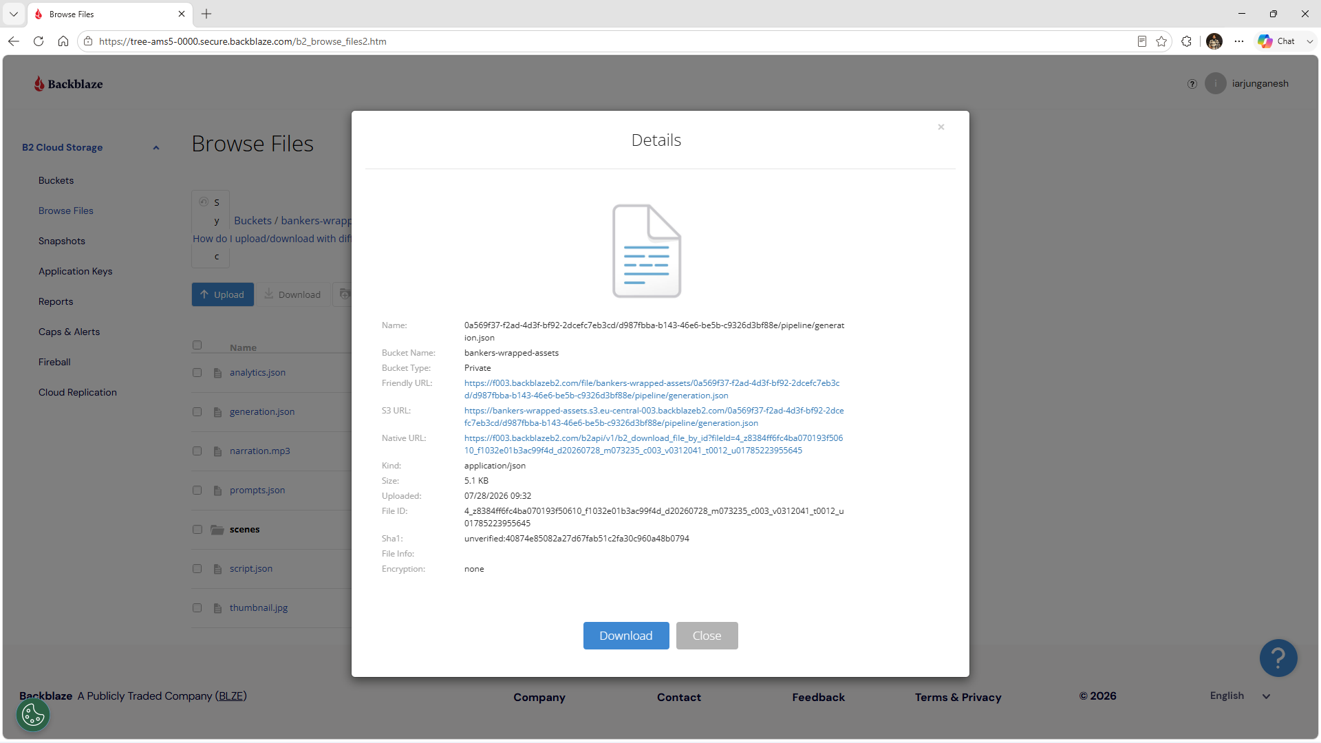 Generation JSON Details