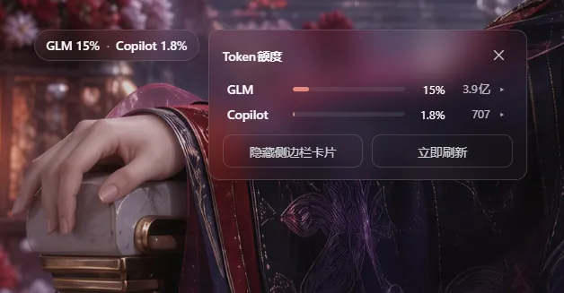 面板概览:Token 额度与等宽操作按钮