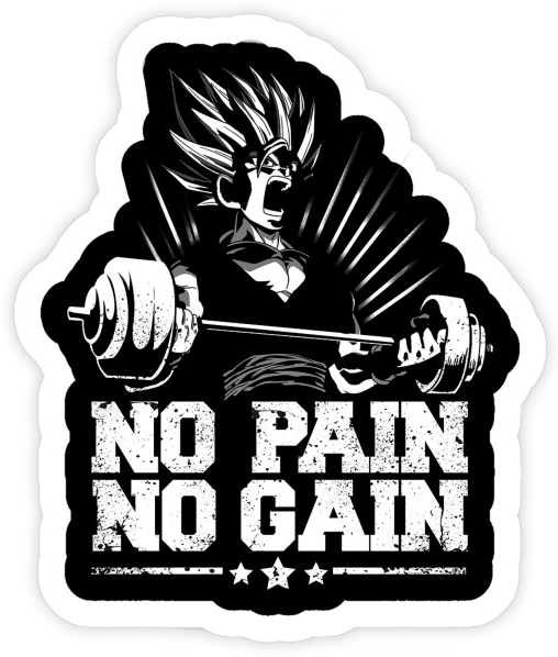 Image of No Pain No Gain Goku