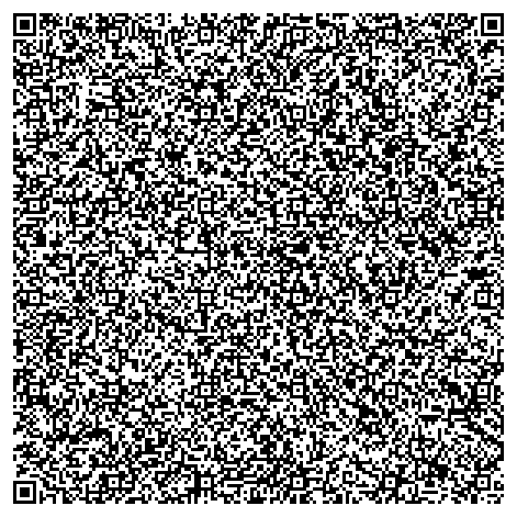 SnakeQR as a QR code