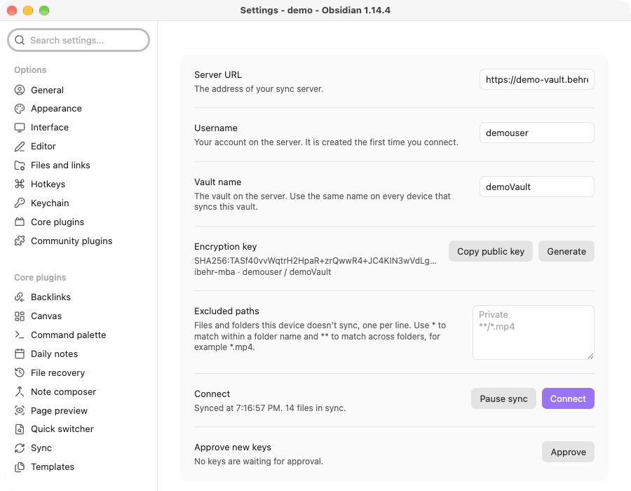 Vault Syncryption screenshot — The plugin settings