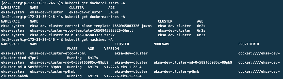 EKS-A-get-dockerclusters