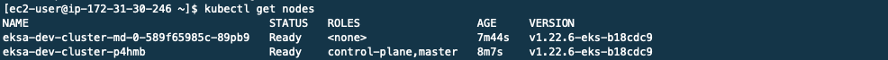 EKS-A-kubectl-getnodes
